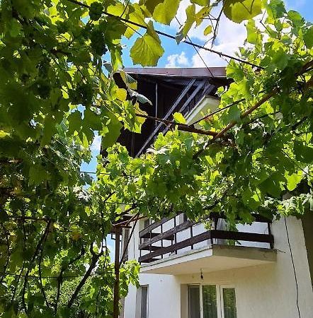 Апартаменты Cazare Vila Maria Куртя-де-Арджеш Экстерьер фото