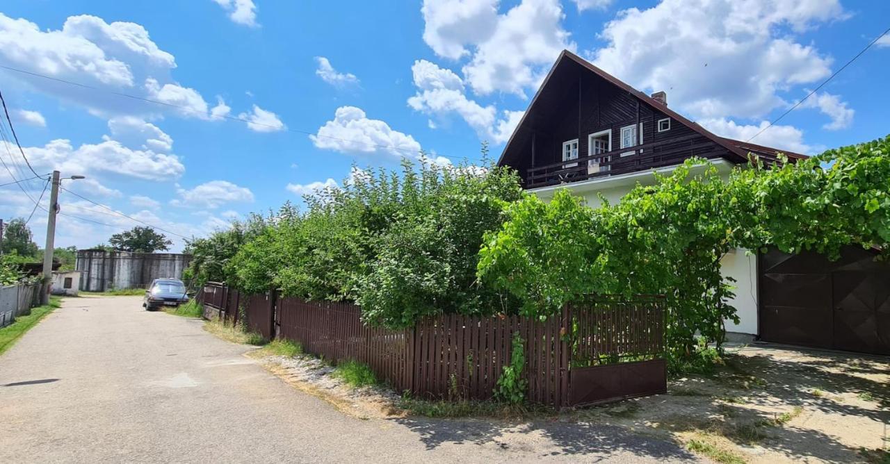 Апартаменты Cazare Vila Maria Куртя-де-Арджеш Экстерьер фото