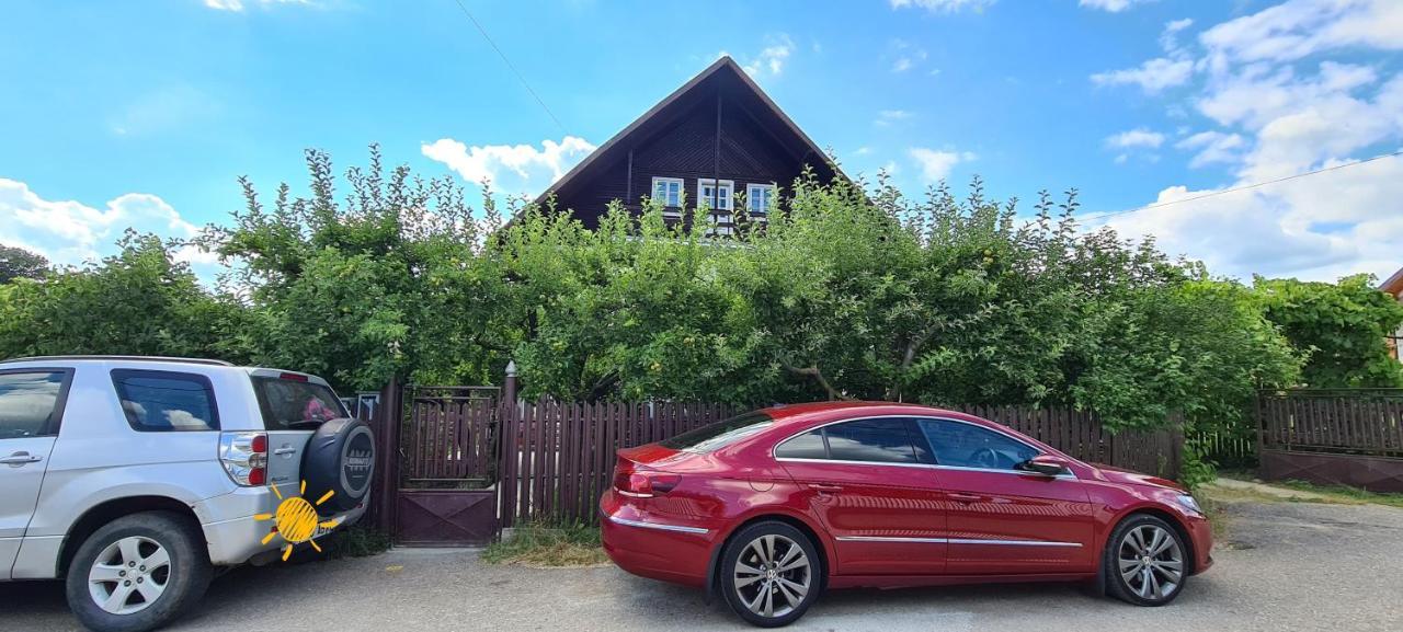 Апартаменты Cazare Vila Maria Куртя-де-Арджеш Экстерьер фото